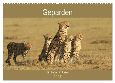 Geparden - Ein Leben in Afrika (Wandkalender 2027 DIN A2 quer), CALVENDO Monatskalender