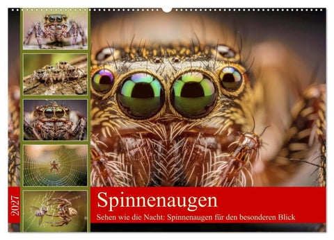 Spinnenaugen (Wandkalender 2027 DIN A2 quer), CALVENDO Monatskalender