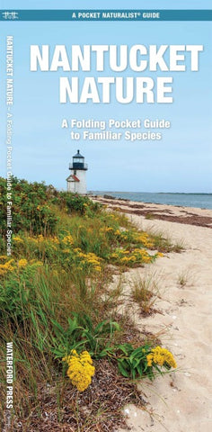 Nantucket Nature