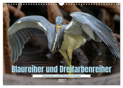 Blaureiher und Dreifarbenreiher (Wandkalender 2027 DIN A3 quer), CALVENDO Monatskalender