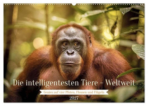 Die intelligentesten Tiere - Weltweit (Wandkalender 2027 DIN A2 quer), CALVENDO Monatskalender