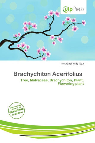 Brachychiton Acerifolius