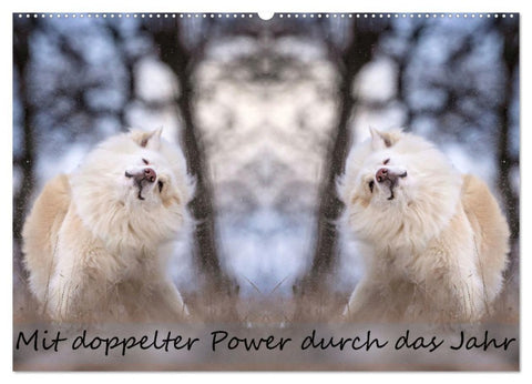Mit doppelter Power durch das Jahr (Wandkalender 2026 DIN A2 quer), CALVENDO Monatskalender