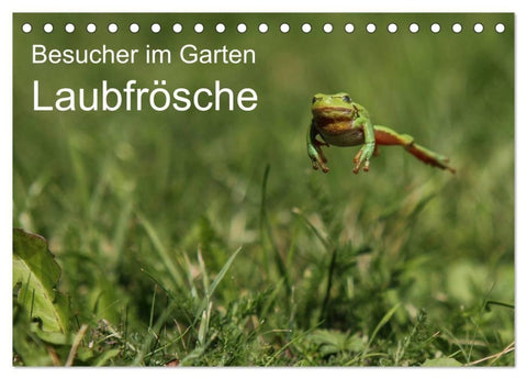 Besucher im Garten - Laubfrösche (Tischkalender 2027 DIN A5 quer), CALVENDO Monatskalender