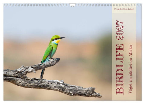 Birdlife - Vögel im südlichen Afrika (Wandkalender 2027 DIN A3 quer), CALVENDO Monatskalender