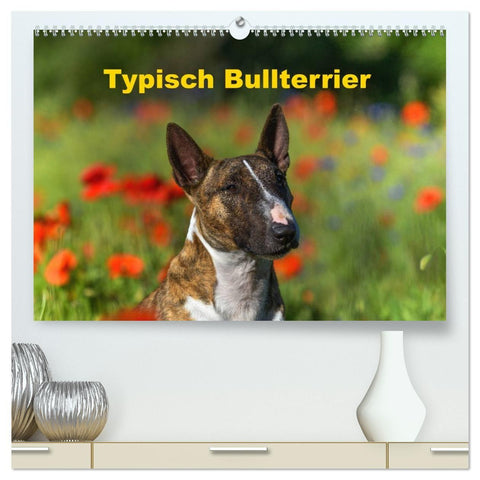 Typisch Bullterrier (hochwertiger Premium Wandkalender 2027 DIN A2 quer), Kunstdruck in Hochglanz