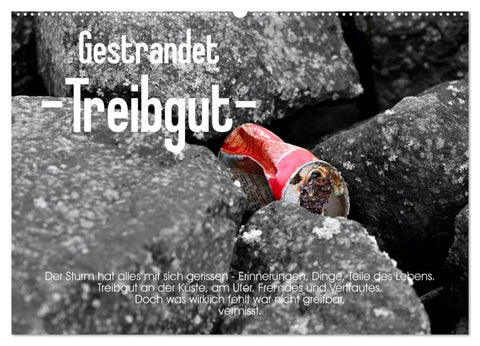 Gestrandet -Treibgut- (Wandkalender 2027 DIN A2 quer), CALVENDO Monatskalender