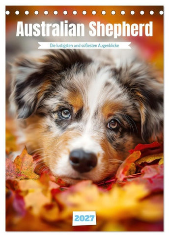 Australian Shepherd (Tischkalender 2027 DIN A5 hoch), CALVENDO Monatskalender
