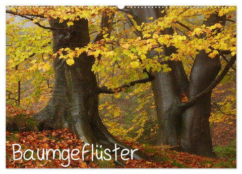 Baumgeflüster (Wandkalender 2026 DIN A2 quer), CALVENDO Monatskalender
