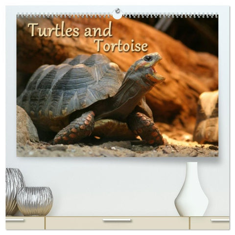 Turtles and Tortoise / UK-Version (High Quality Premium Wall Calendar 2026 DIN A2 landscape),CALVENDO 12 Month Wall Calendar