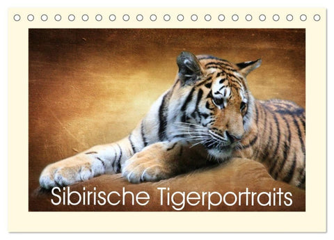 Sibirische Tigerportraits (Tischkalender 2027 DIN A5 quer), CALVENDO Monatskalender