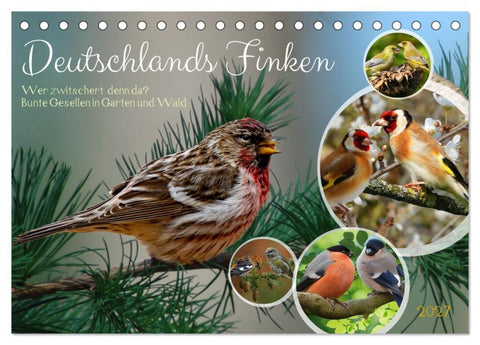 Deutschlands Finken (Tischkalender 2027 DIN A5 quer), CALVENDO Monatskalender