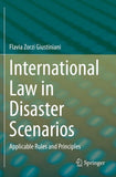 International Law in Disaster Scenarios