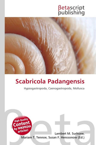 Scabricola Padangensis