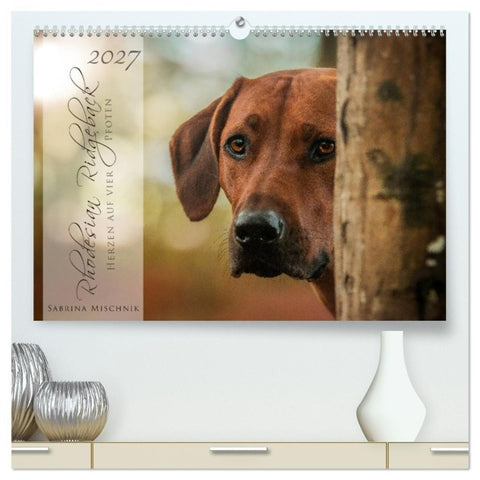 Rhodesian Ridgeback - Herzen auf vier Pfoten (hochwertiger Premium Wandkalender 2027 DIN A2 quer), Kunstdruck in Hochglanz