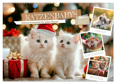 Katzenbabys - Schnurrmomente für jeden Monat (Wandkalender 2027 DIN A2 quer), CALVENDO Monatskalender