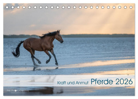 Pferde 2026 Kraft und Anmut (Tischkalender 2026 DIN A5 quer), CALVENDO Monatskalender