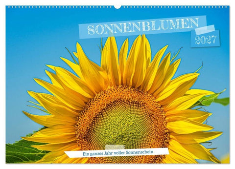 Sonnenblumen - ein ganzes Jahr voller Sonnenschein (Wandkalender 2027 DIN A2 quer), CALVENDO Monatskalender