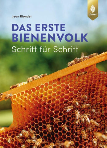 Das erste Bienenvolk – Schritt für Schritt