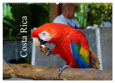 Costa Rica (Wandkalender 2026 DIN A2 quer), CALVENDO Monatskalender