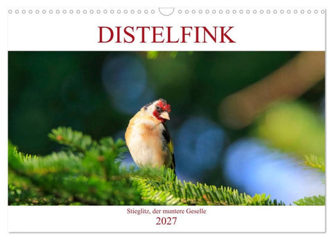 Distelfink (Wandkalender 2027 DIN A3 quer), CALVENDO Monatskalender