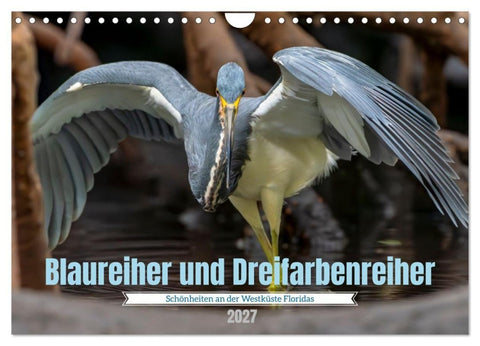 Blaureiher und Dreifarbenreiher (Wandkalender 2027 DIN A4 quer), CALVENDO Monatskalender