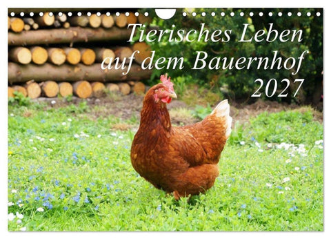Tierisches Leben auf dem Bauernhof 2027 (Wandkalender 2027 DIN A4 quer), CALVENDO Monatskalender