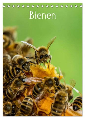 Bienen (Tischkalender 2026 DIN A5 hoch), CALVENDO Monatskalender