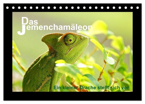 Das Jemenchamäleon (Tischkalender 2027 DIN A5 quer), CALVENDO Monatskalender