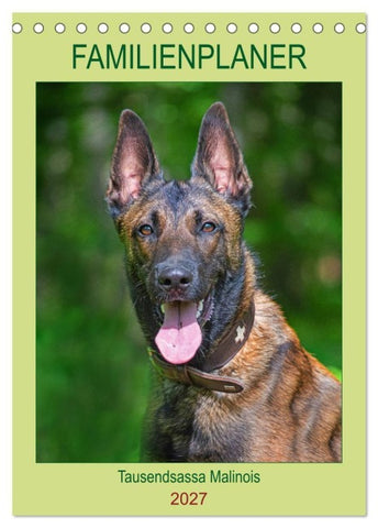 Familienplaner Tausendsassa Malinois (Tischkalender 2027 DIN A5 hoch), CALVENDO Monatskalender
