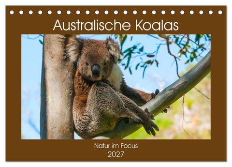 Australische Koalas (Tischkalender 2027 DIN A5 quer), CALVENDO Monatskalender