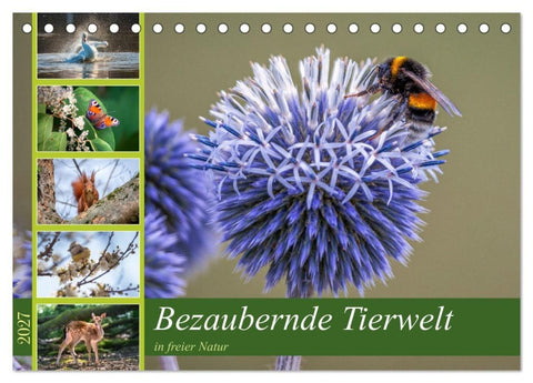 Bezaubernde Tierwelt in freier Natur (Tischkalender 2027 DIN A5 quer), CALVENDO Monatskalender