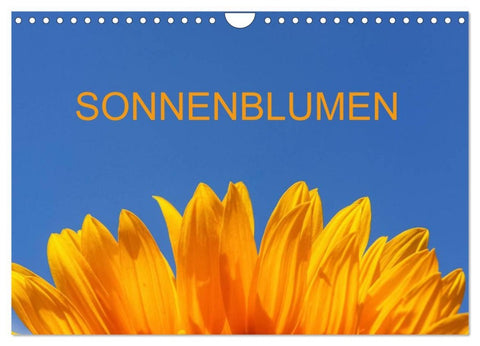 Sonnenblumen (Wandkalender 2026 DIN A4 quer), CALVENDO Monatskalender