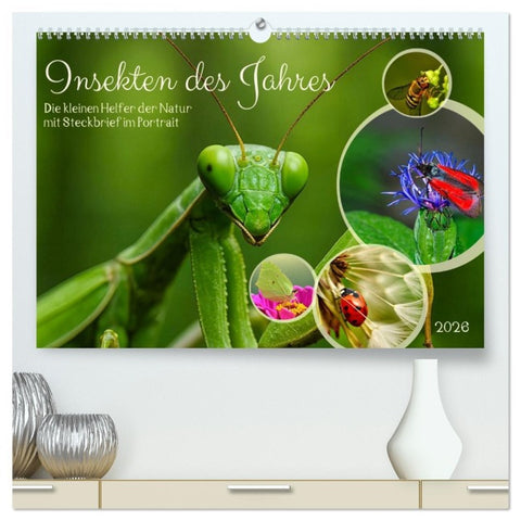 Insekt des Jahres (hochwertiger Premium Wandkalender 2026 DIN A2 quer), Kunstdruck in Hochglanz