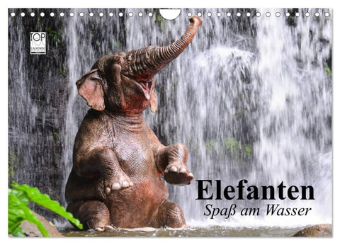 Elefanten. Spaß am Wasser (Wandkalender 2027 DIN A4 quer), CALVENDO Monatskalender