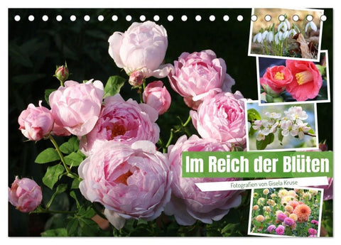 Im Reich der Blüten (Tischkalender 2027 DIN A5 quer), CALVENDO Monatskalender