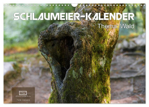 Schlaumeier-Kalender - Thema: Wald (Wandkalender 2026 DIN A3 quer), CALVENDO Monatskalender