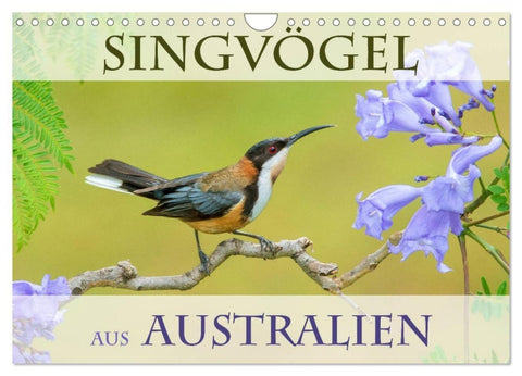 Singvögel aus Australien (Wandkalender 2027 DIN A4 quer), CALVENDO Monatskalender