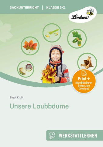 Unsere Laubbäume