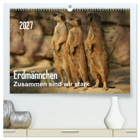 Erdmännchen – Zusammen sind wir stark / CH-Version (hochwertiger Premium Wandkalender 2027 DIN A2 quer), Kunstdruck in Hochglanz