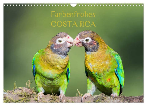 Farbenfrohes Costa Rica (Wandkalender 2027 DIN A3 quer), CALVENDO Monatskalender