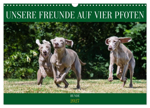 Unsere Freunde auf vier Pfoten - Hunde (Wandkalender 2027 DIN A3 quer), CALVENDO Monatskalender
