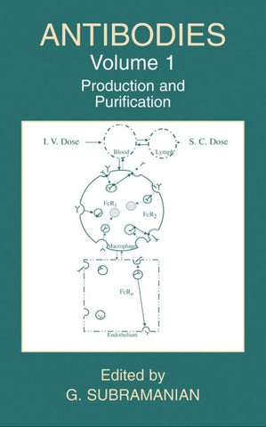 Antibodies