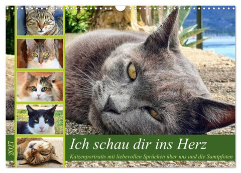Ich schau dir ins Herz (Wandkalender 2027 DIN A3 quer), CALVENDO Monatskalender