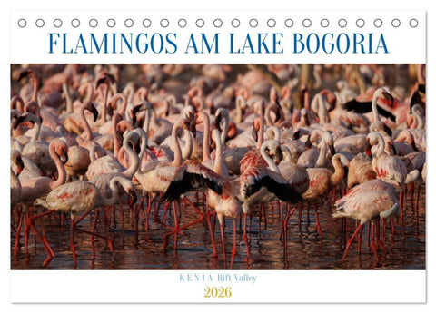 Flamingos am Lake Bogoria - Kenia (Tischkalender 2026 DIN A5 quer), CALVENDO Monatskalender