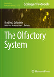The Olfactory System