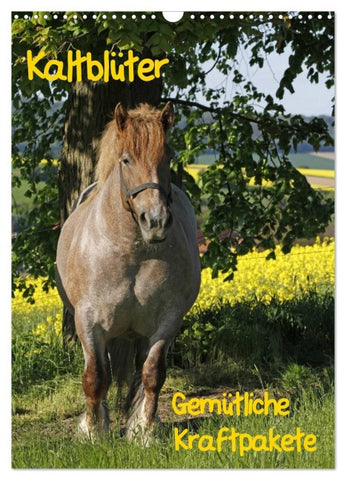 Kaltblüter (Wandkalender 2026 DIN A3 hoch), CALVENDO Monatskalender