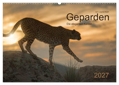 Geparden. Die eleganten Katzen. (Wandkalender 2027 DIN A2 quer), CALVENDO Monatskalender