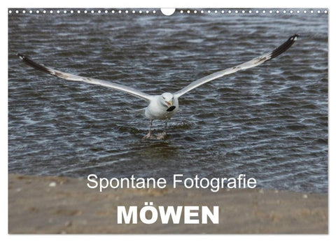 Spontane Fotografie - Möwen (Wandkalender 2027 DIN A3 quer), CALVENDO Monatskalender