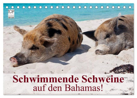 Schwimmende Schweine auf den Bahamas! (Tischkalender 2027 DIN A5 quer), CALVENDO Monatskalender
